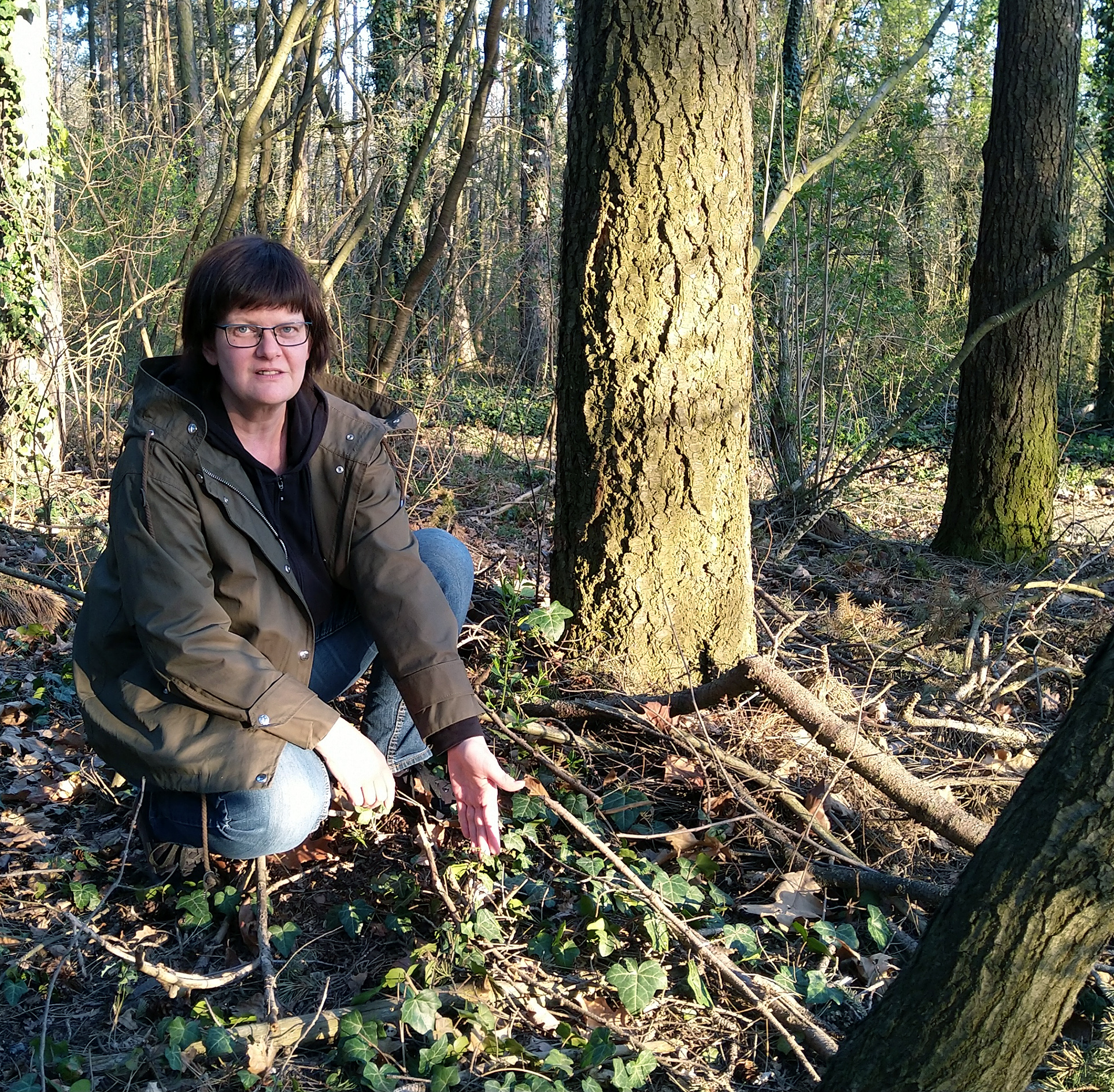 Waldbrandgefahr